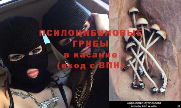 каннабис Алексин