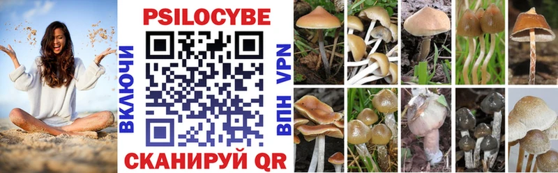 Псилоцибиновые грибы ЛСД  ссылка на мегу вход  Каневская  где найти наркотики 